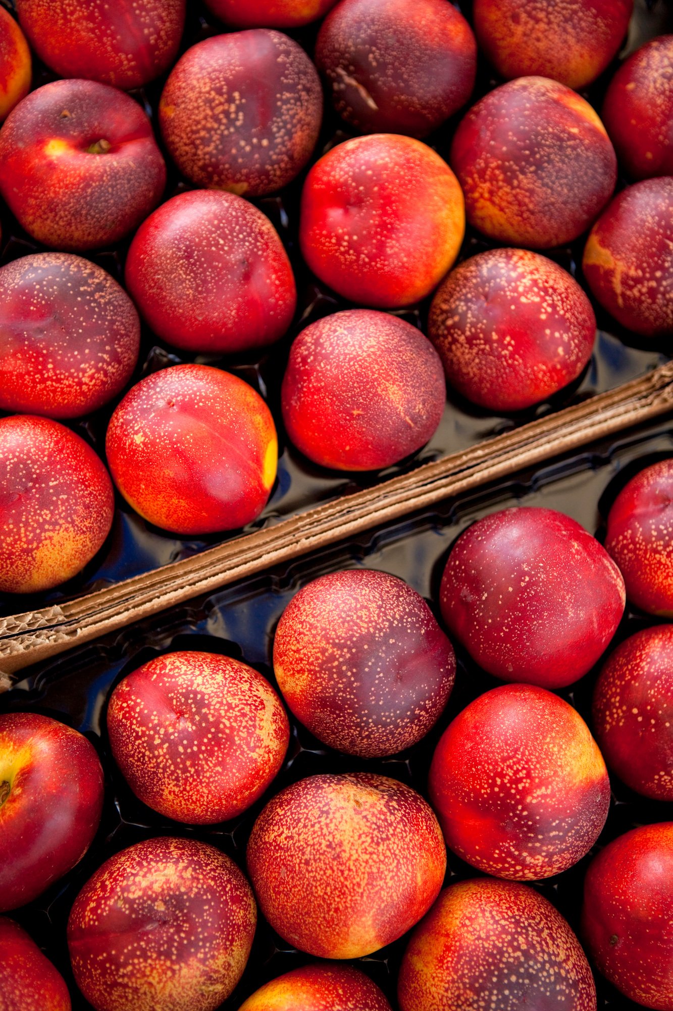 Nectarines